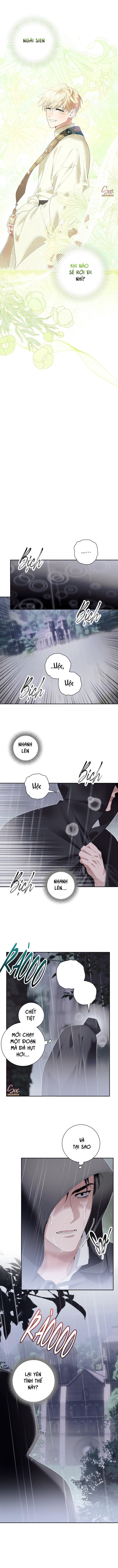 Đọc truyện (3P) PÁTERA - Chapter 17