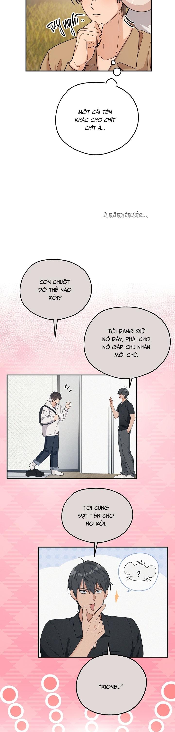 Đọc truyện (GĐCV) BÉ CHUỘT CỦA TÔI LÀ THỨC TỈNH GIẢ CẤP S - Chapter 9