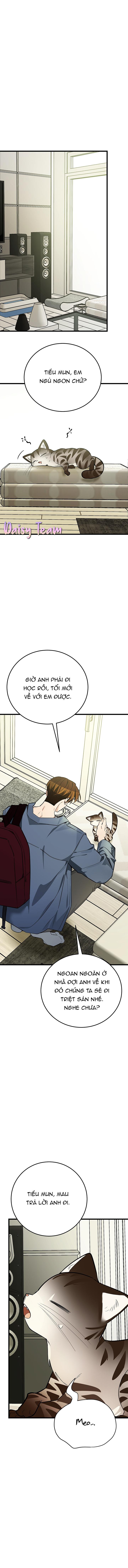 Đọc truyện (Daisy) Sinh mèo con cho tôi mau trước khi thằng này điên lên - Chapter 9