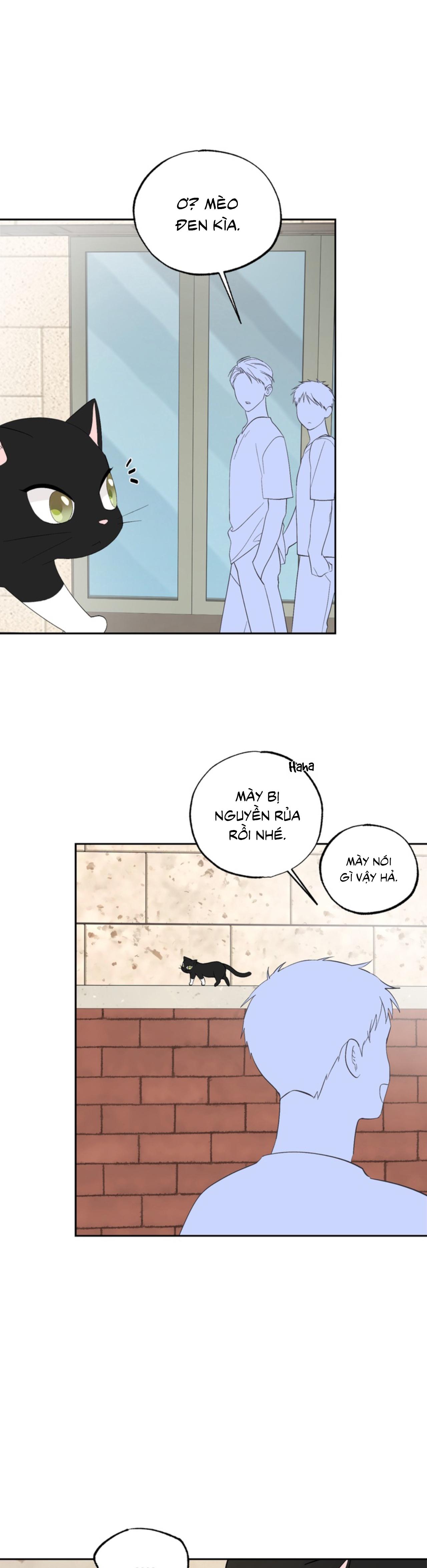 Đọc truyện XIN HÃY YÊU THƯƠNG DÙ TÔI LÀ CHUỘT - Chapter 5