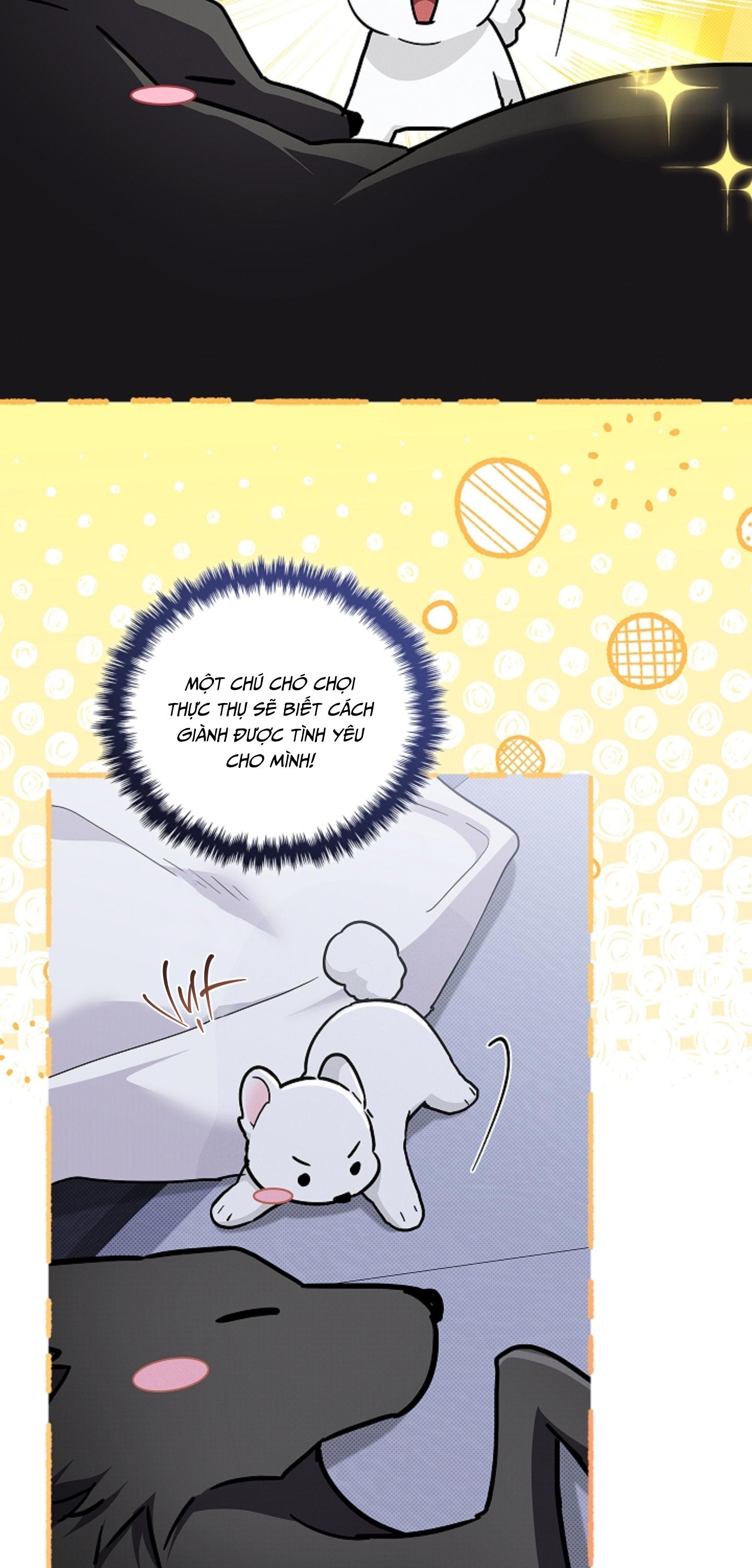Đọc truyện ĐỪNG CHẠM VÀO CÚN CON CỦA TÔI - Chapter 51