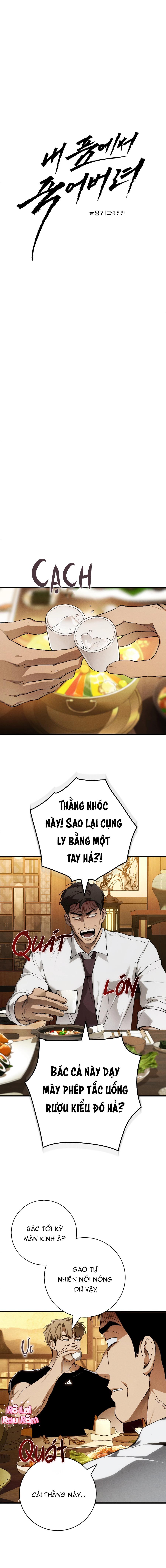 Đọc truyện Hãy chết trong vòng tay của tôi - Chapter 4
