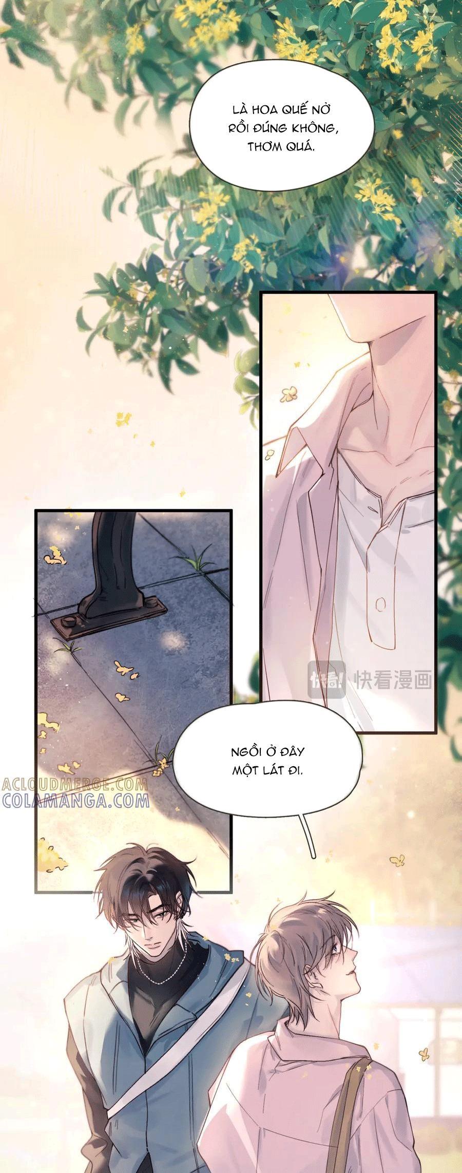 Đọc truyện Tinh Vệ - Chapter 37