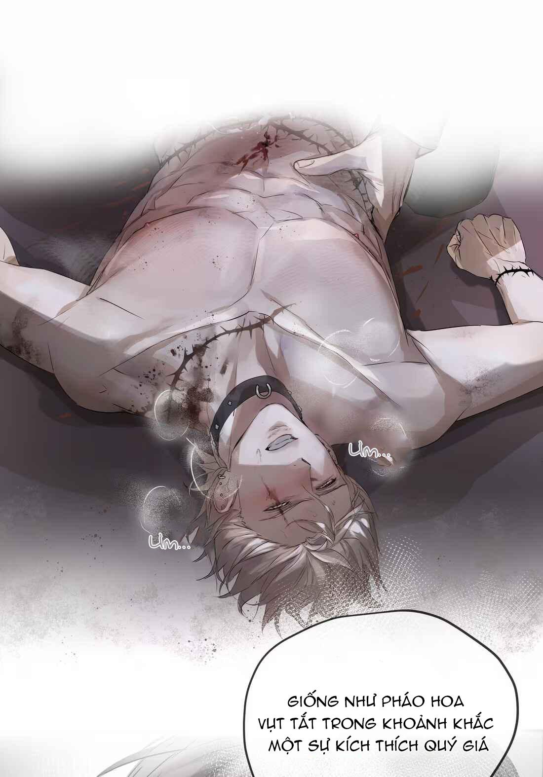 Đọc truyện (Daisy) Tôi Bị Chó Điên Phát Hiện Bản Thân Là Đồng Loại - Chapter 4
