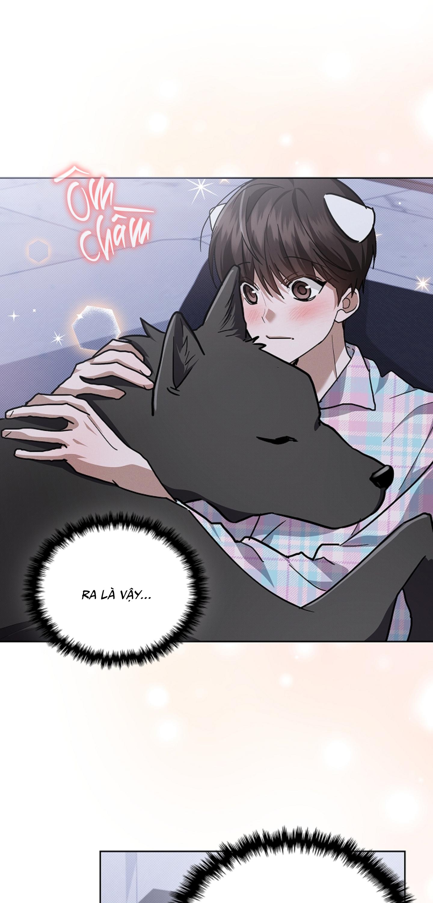Đọc truyện ĐỪNG CHẠM VÀO CÚN CON CỦA TÔI - Chapter 51
