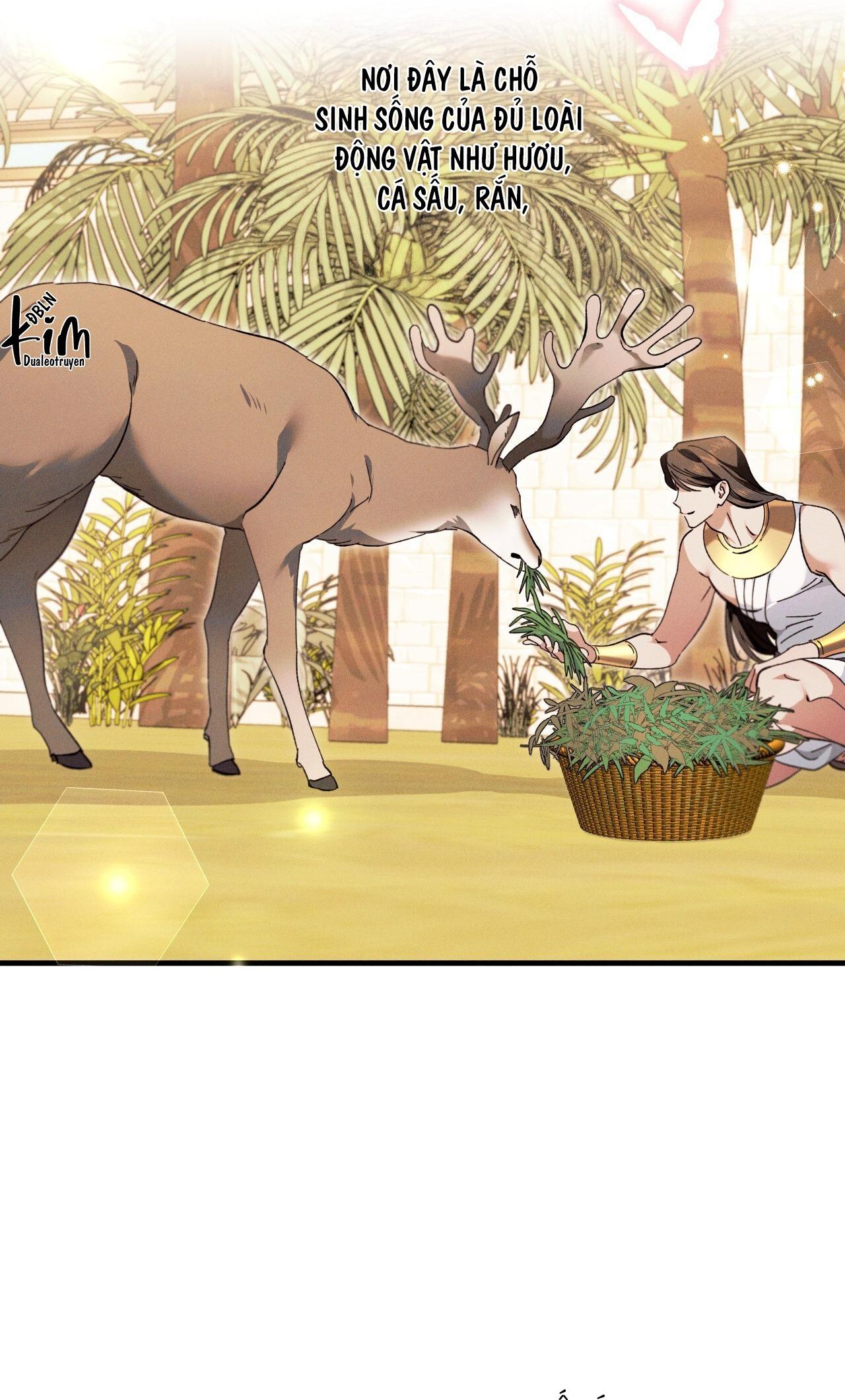 Đọc truyện RẮN NUỐT LỰU - Chapter 23