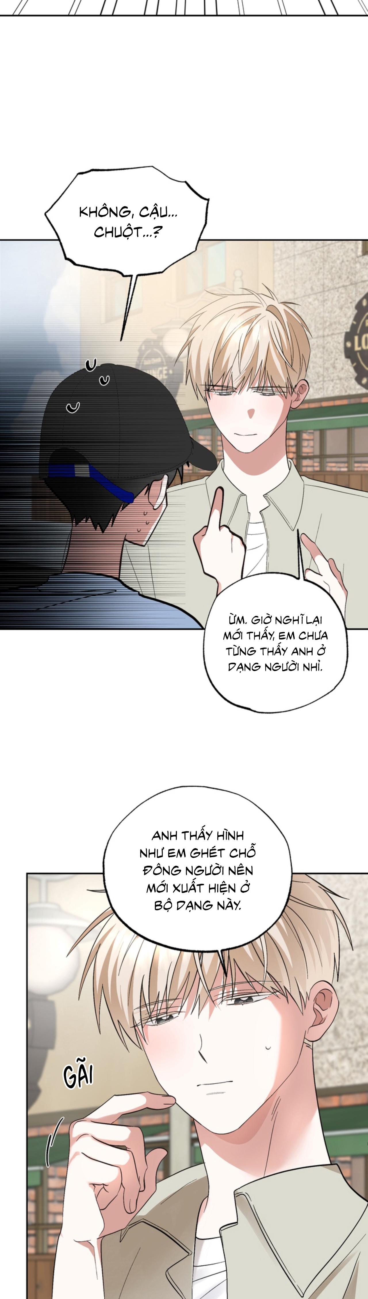 Đọc truyện XIN HÃY YÊU THƯƠNG DÙ TÔI LÀ CHUỘT - Chapter 5