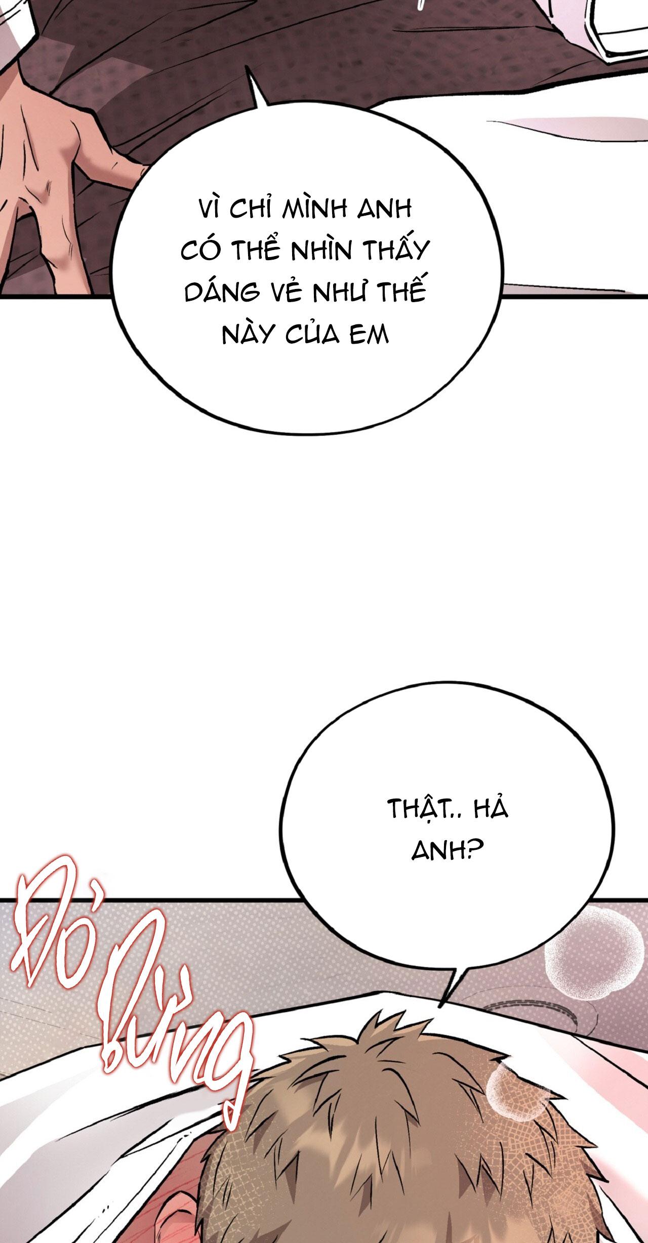 Đọc truyện HONEY BEAR - Chapter 66