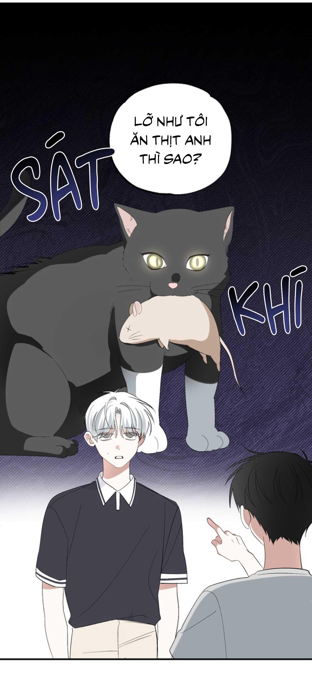 Đọc truyện XIN HÃY YÊU THƯƠNG DÙ TÔI LÀ CHUỘT - Chapter 4