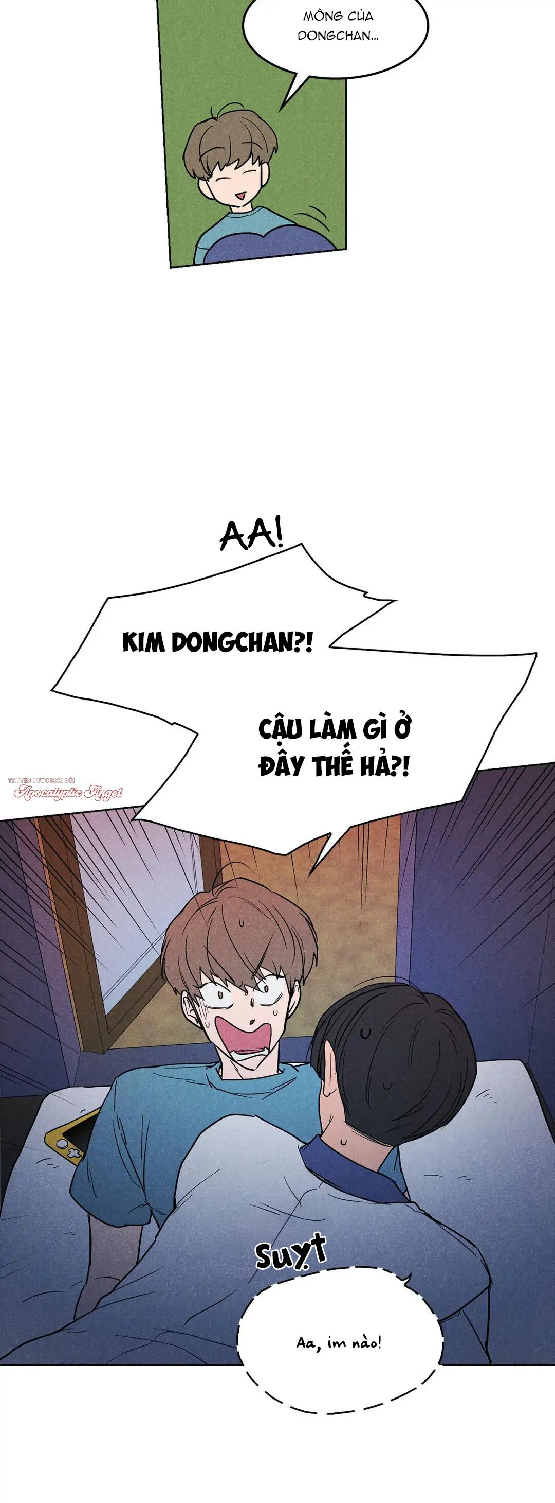 Đọc truyện Một Bó Rau Chân Vịt - Chapter 5