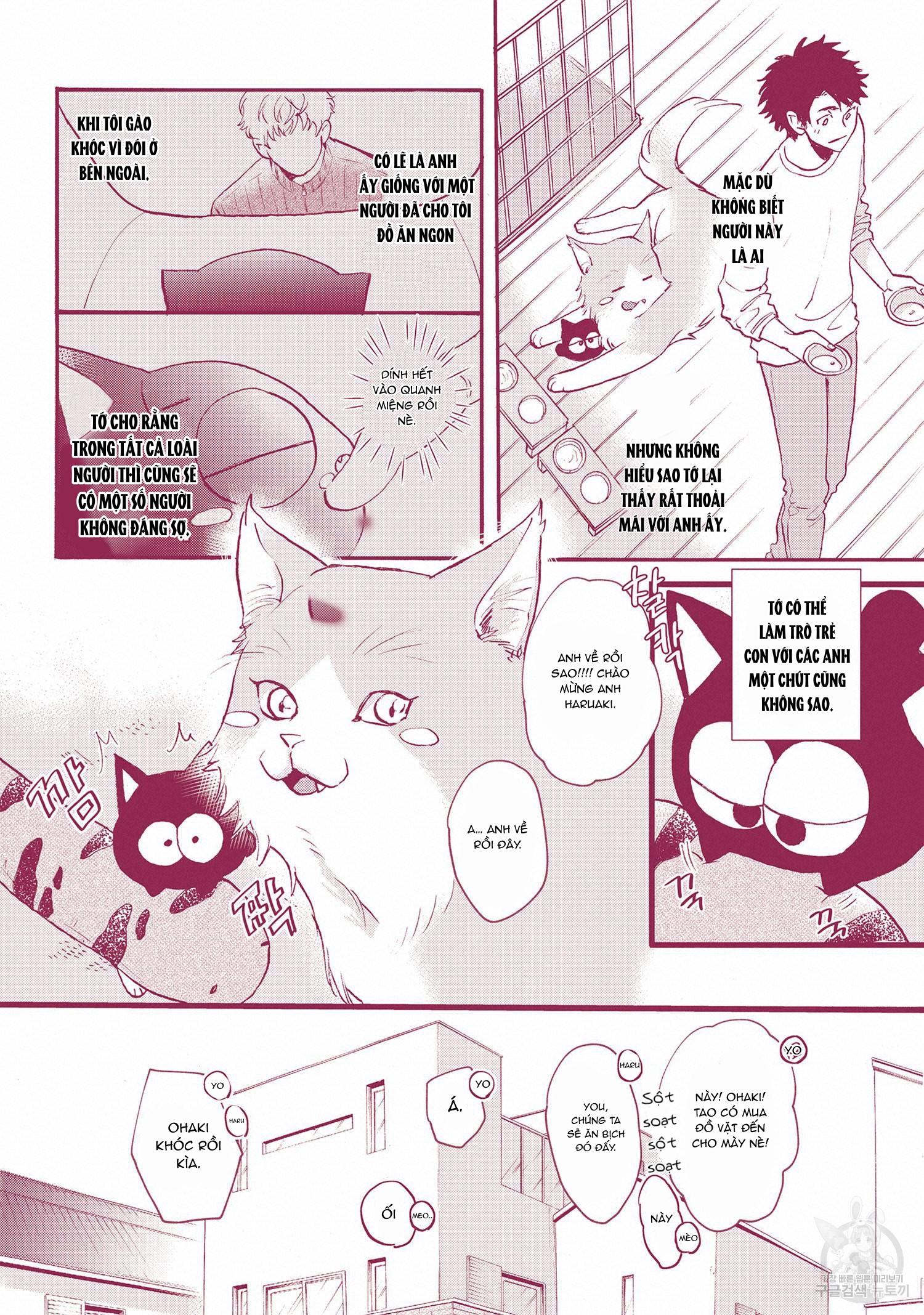 Đọc truyện Series BL Manga - Chapter 22.9