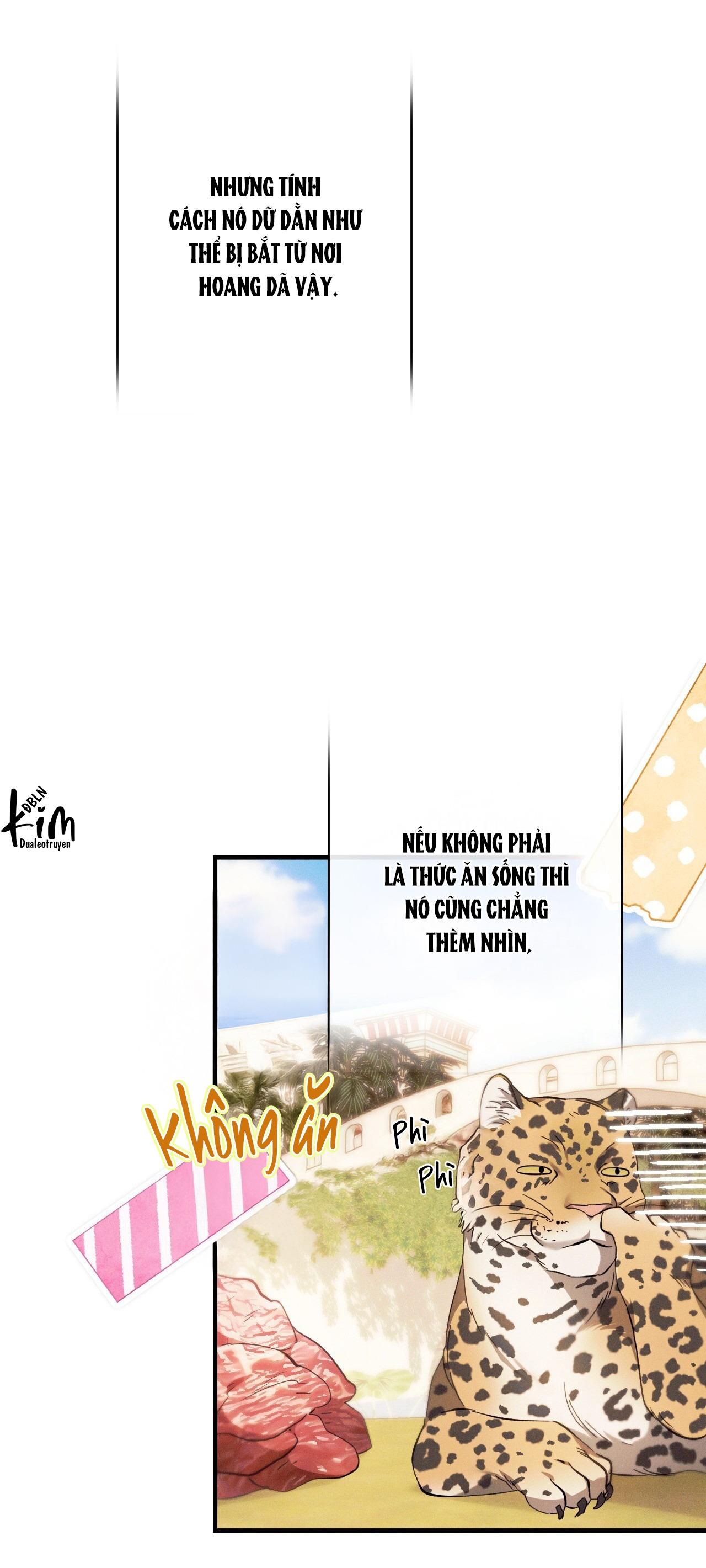 Đọc truyện RẮN NUỐT LỰU - Chapter 23