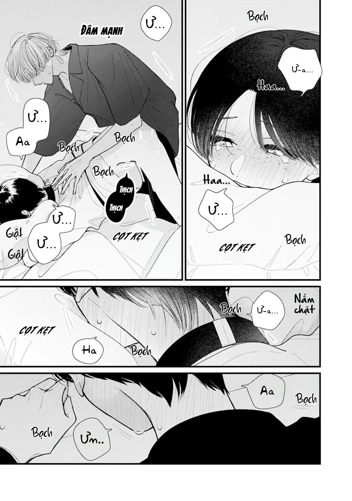Đọc truyện Bó Hoa Dành Dành Và Sắc Xanh Mong Manh - Chapter 2