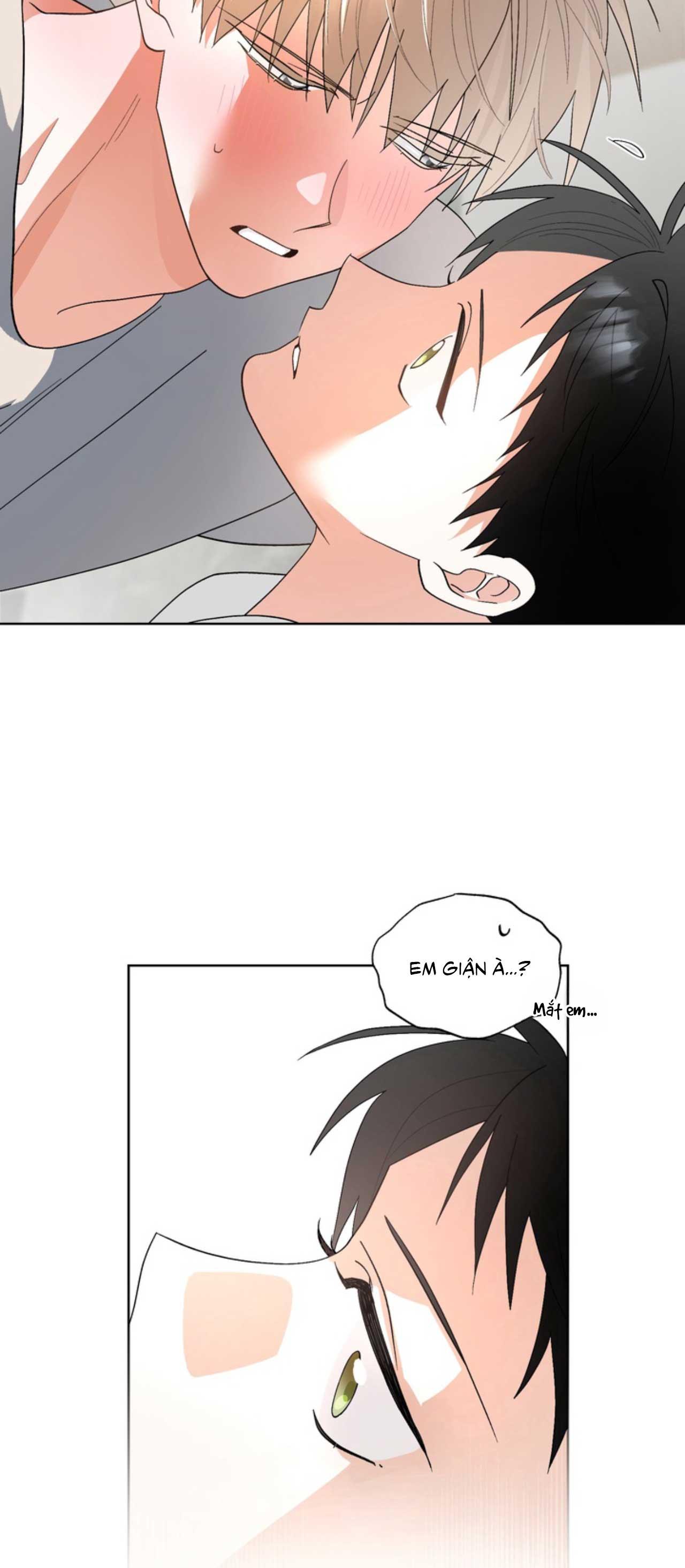 Đọc truyện XIN HÃY YÊU THƯƠNG DÙ TÔI LÀ CHUỘT - Chapter 7