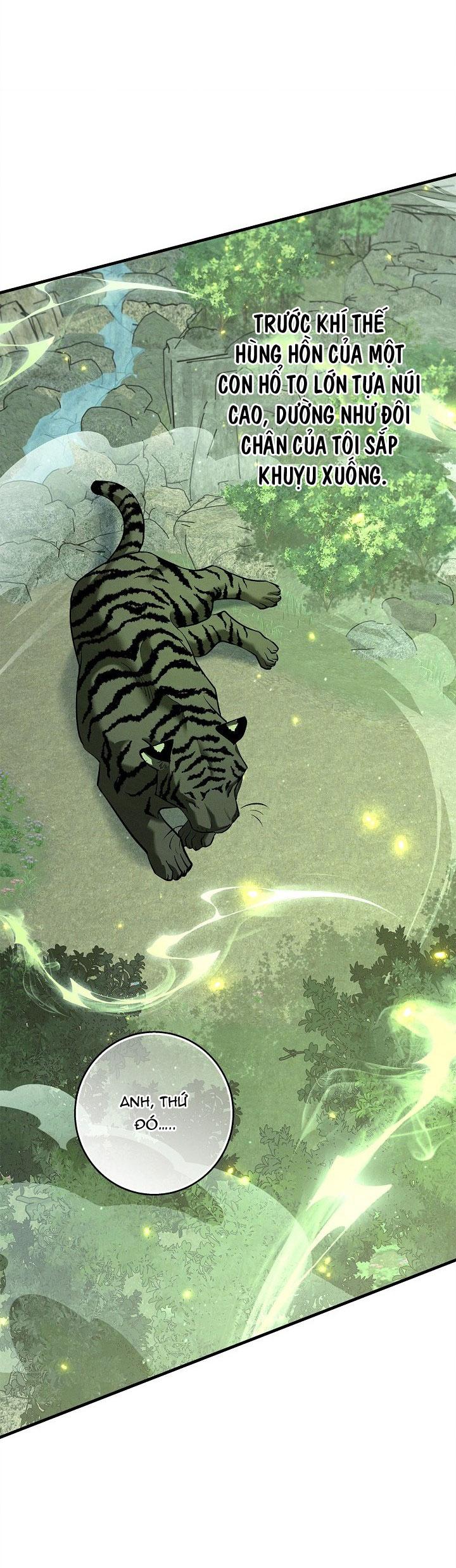 Đọc truyện ĐÊM KHÔNG DẤU VẾT - Chapter 58
