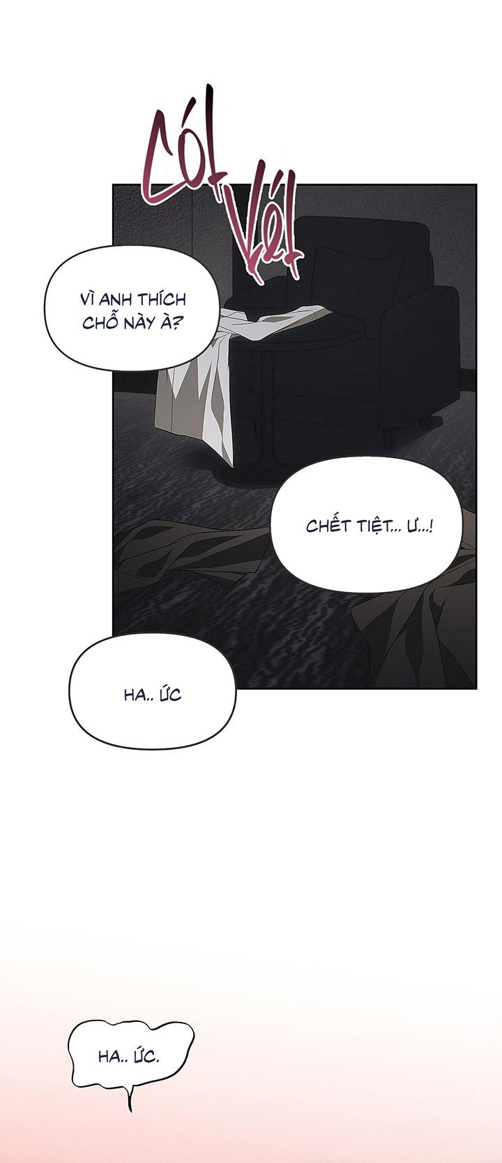 Đọc truyện [DDT] BẪY CHUỘT - Chapter 1