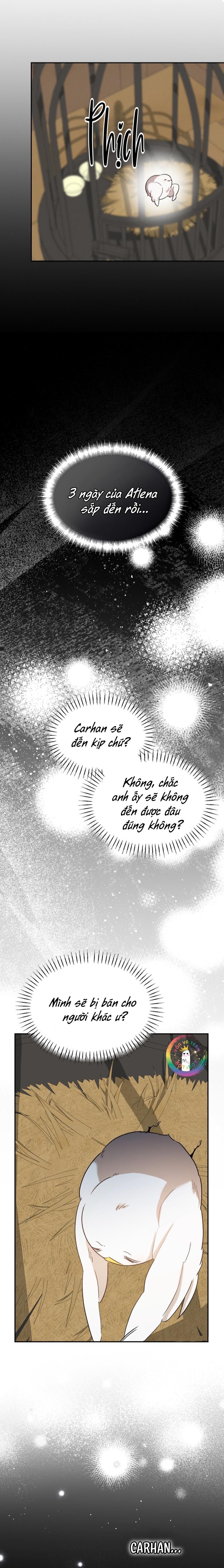 Đọc truyện Này, Đừng Có Nhấn Cái Nút Đó! - Chapter 61