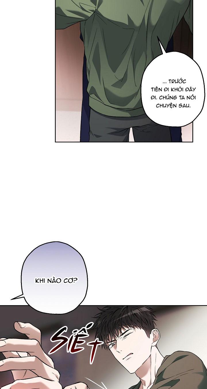Đọc truyện (ABO) KẺ VÔ LẠI - Chapter 16