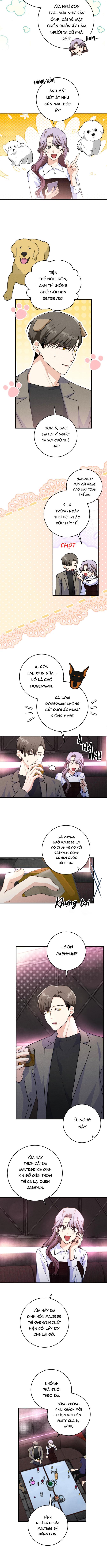 Đọc truyện Kẻ Thu Gom Rác - Chapter 7