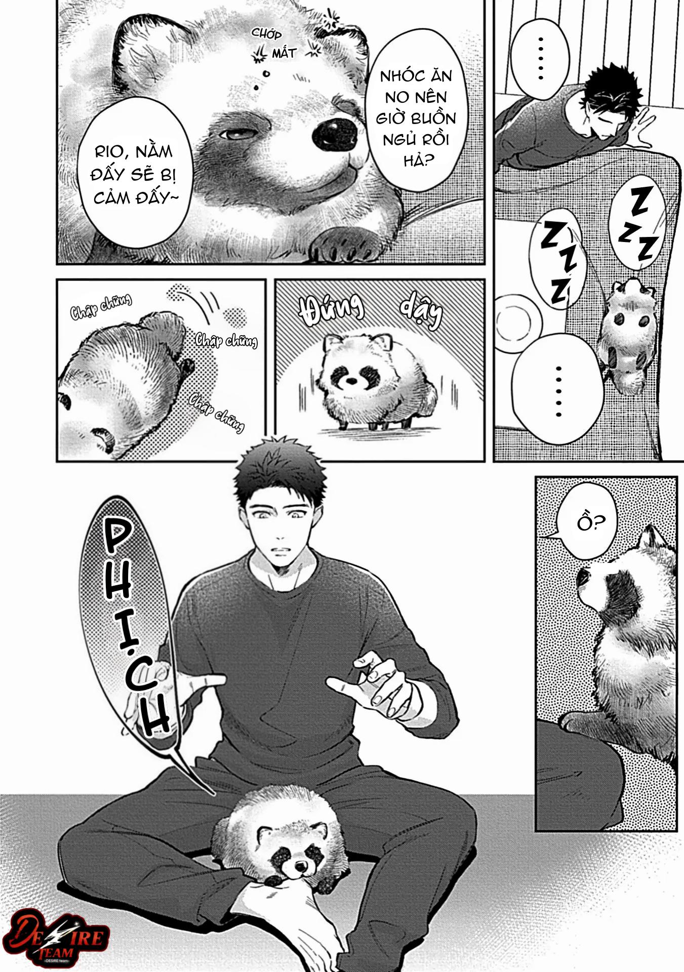 Đọc truyện Trở Thành Một Gia Đình Cùng Hai Anh Em Tanuki - Chapter 2