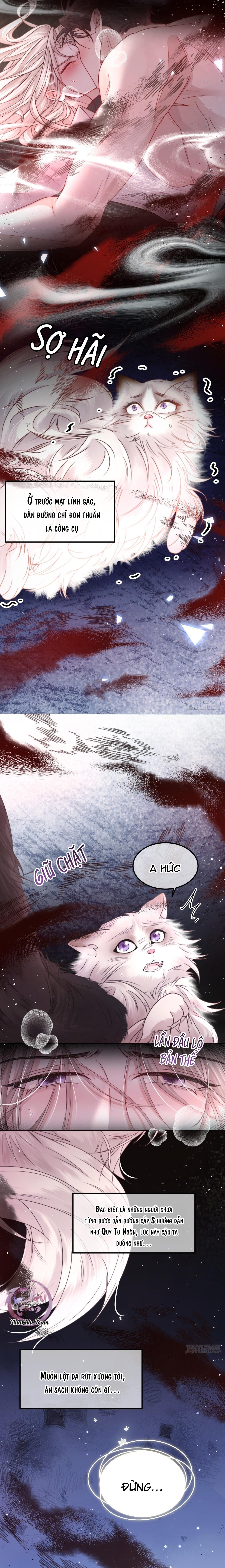 Đọc truyện Chim Trong Lồng - Chapter 2