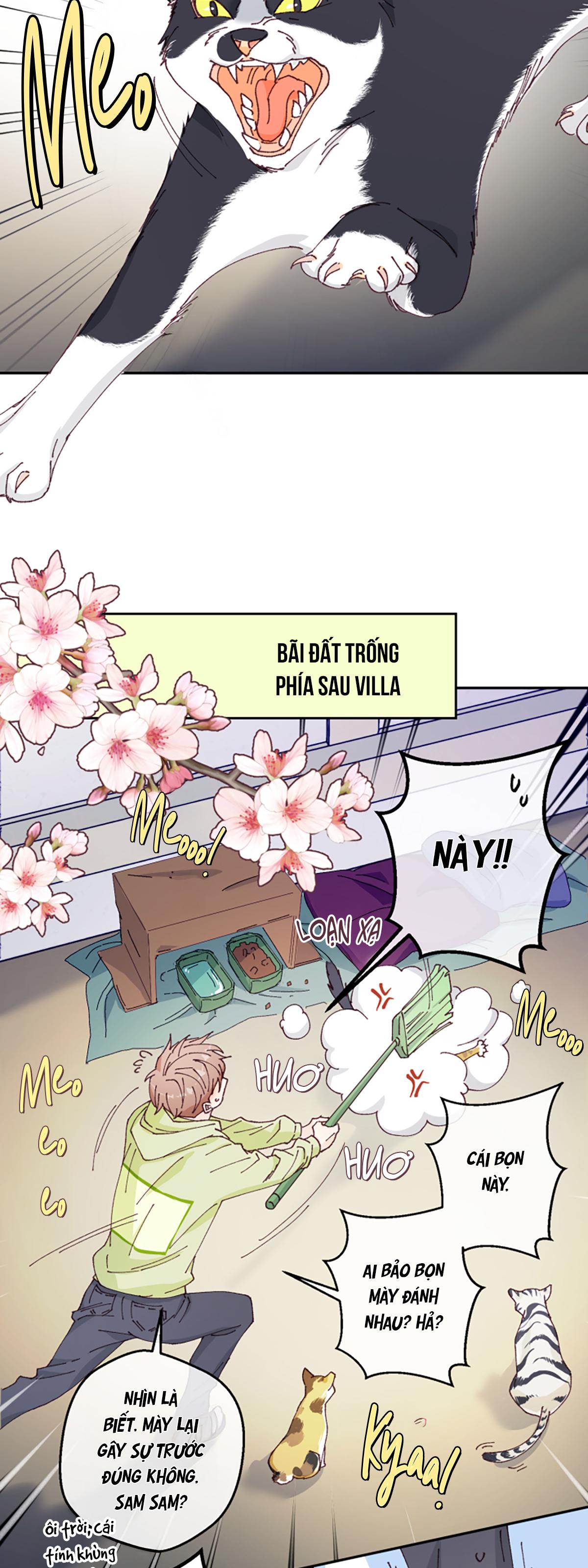 Đọc truyện NGƯỜI HÀNG XÓM QUYẾN RŨ CỦA TÔI - Chapter 1