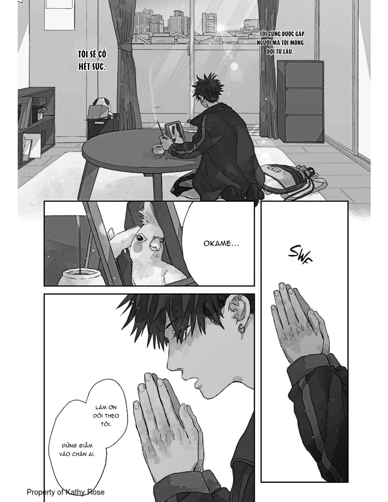 Đọc truyện Báu Vật Của Takara - Chapter 1