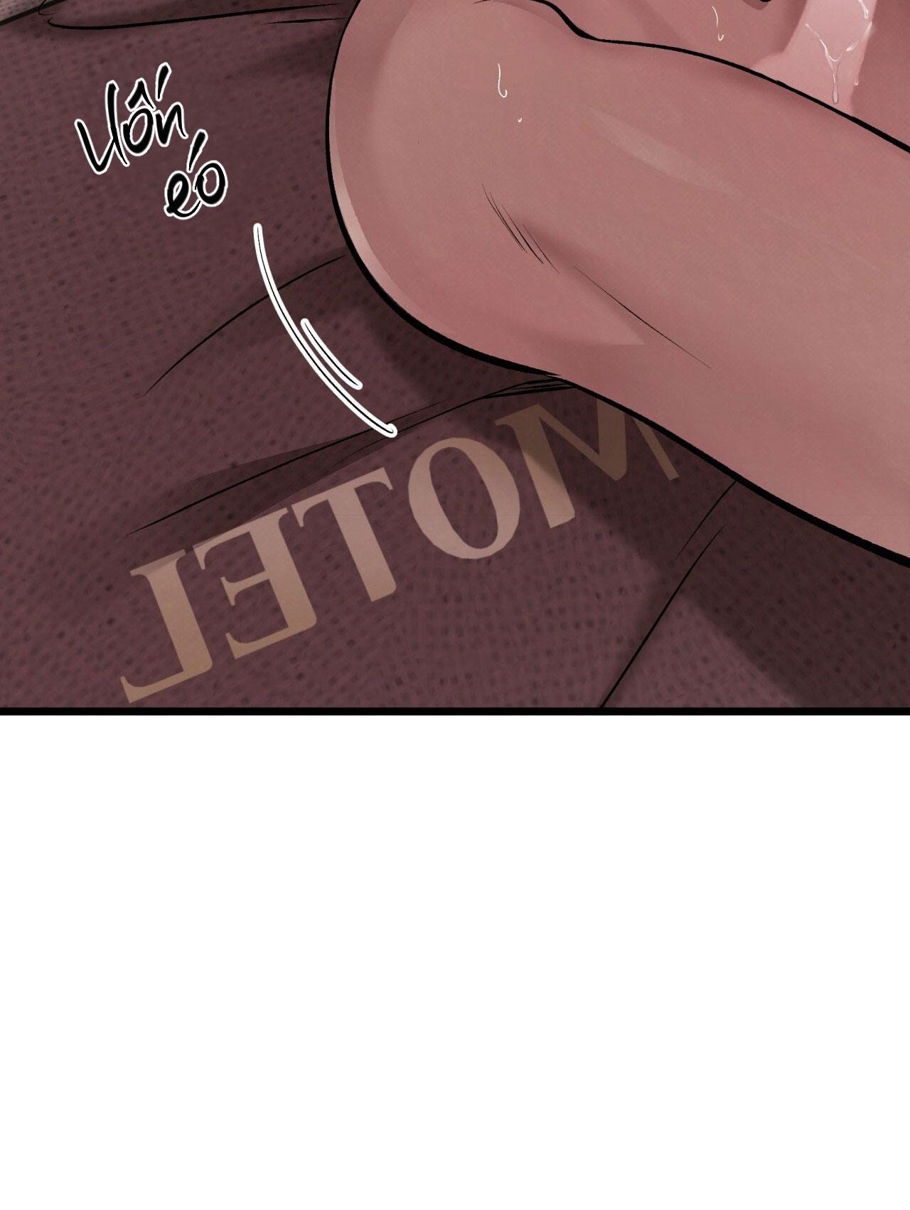 Đọc truyện HONEY BEAR - Chapter 65