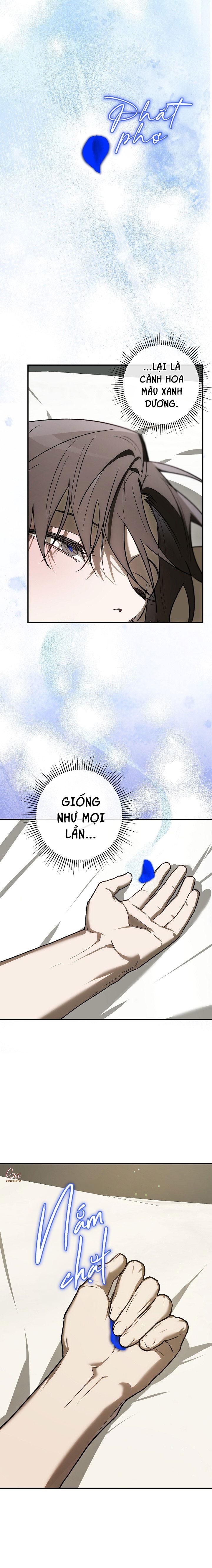 Đọc truyện BẢO VẬT - Chapter 33