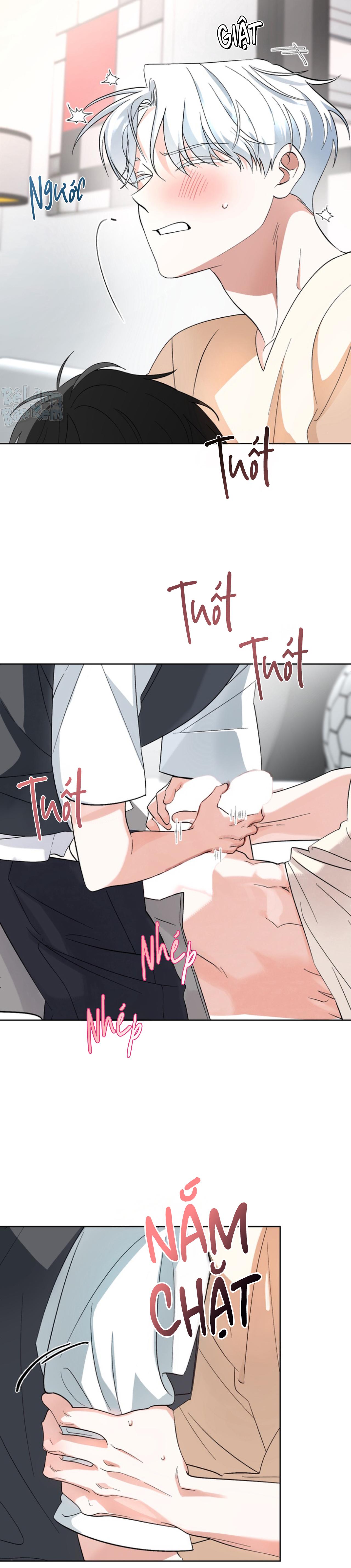 Đọc truyện XIN HÃY YÊU THƯƠNG DÙ TÔI LÀ CHUỘT - Chapter 2