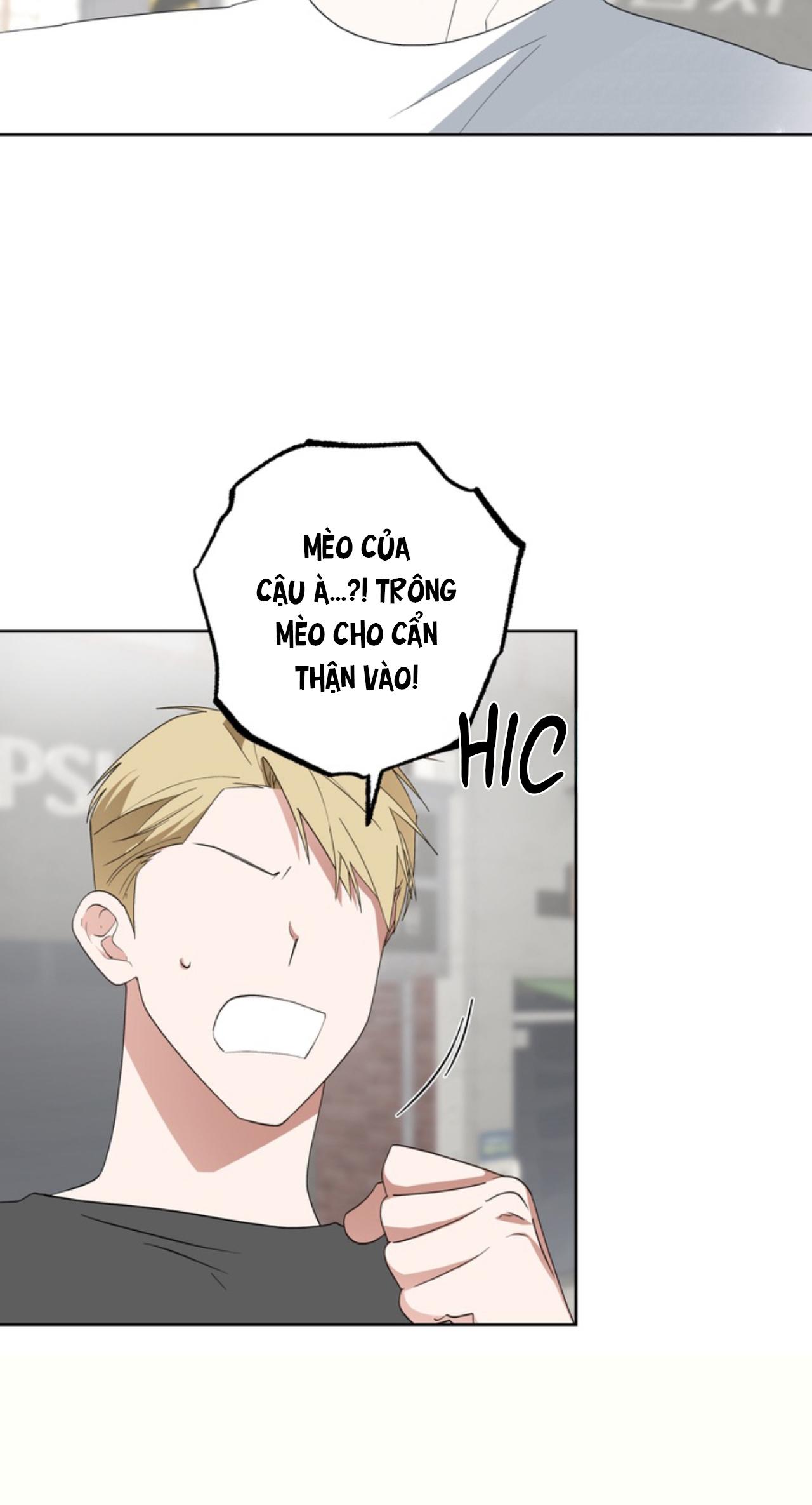 Đọc truyện XIN HÃY YÊU THƯƠNG DÙ TÔI LÀ CHUỘT - Chapter 6