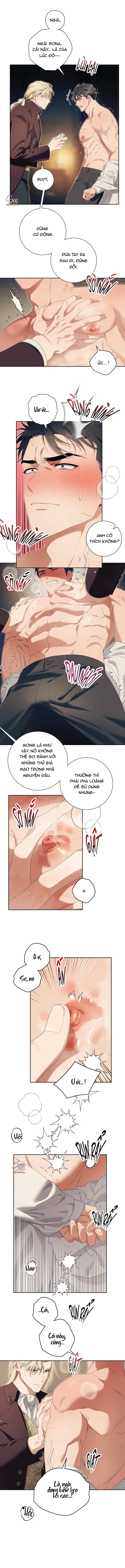 Đọc truyện (3P) PÁTERA - Chapter 11