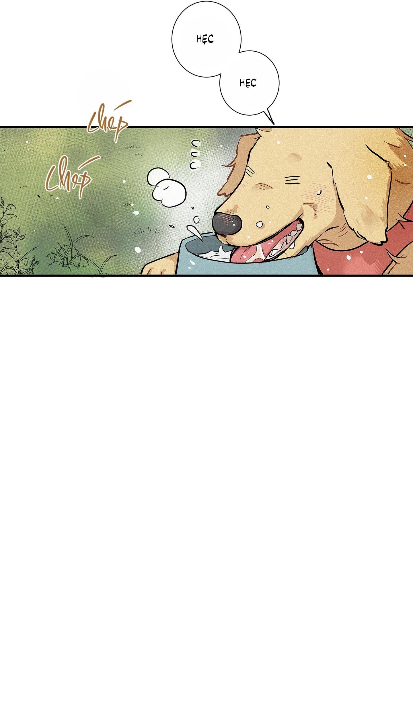 Đọc truyện  Tình yêu và danh vọng - Chapter 75