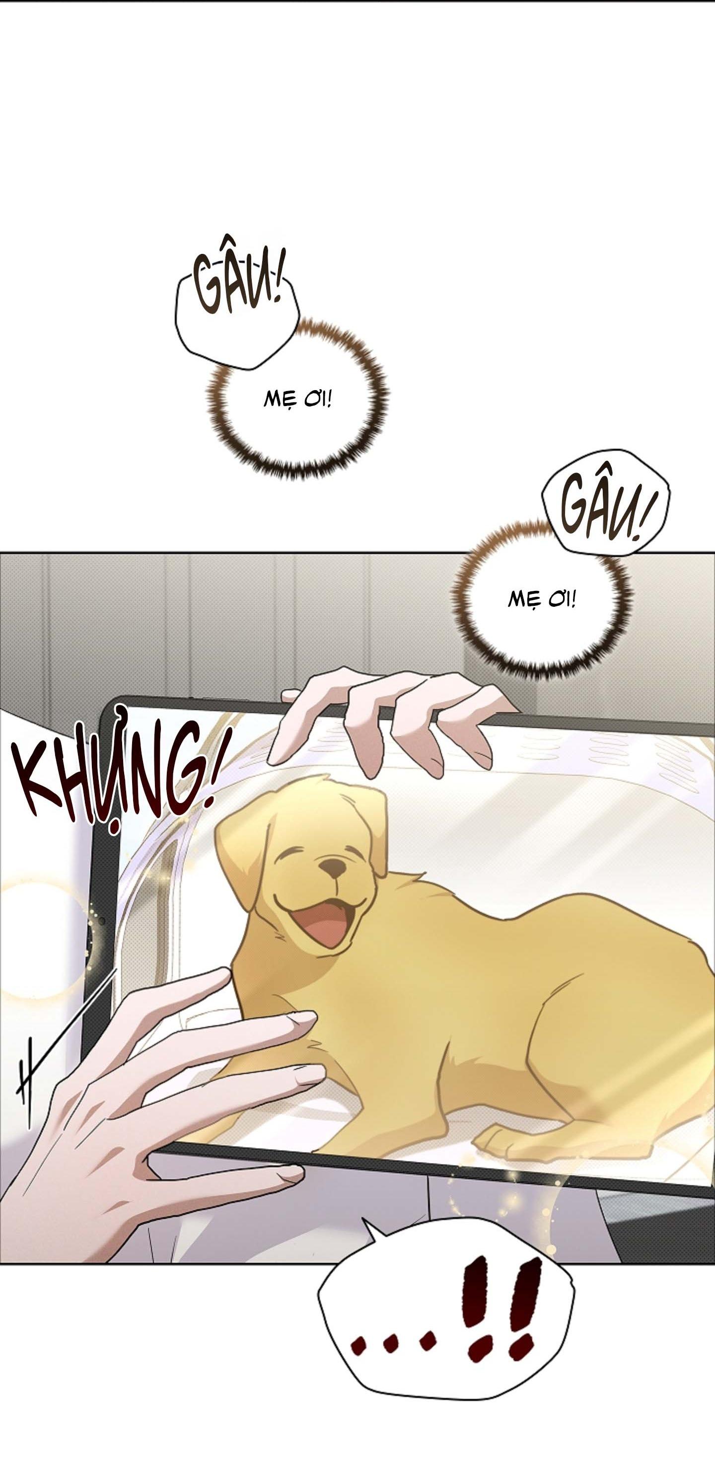 Đọc truyện ĐỪNG ĐỘNG VÀO CÚN CON! - Chapter 44.06