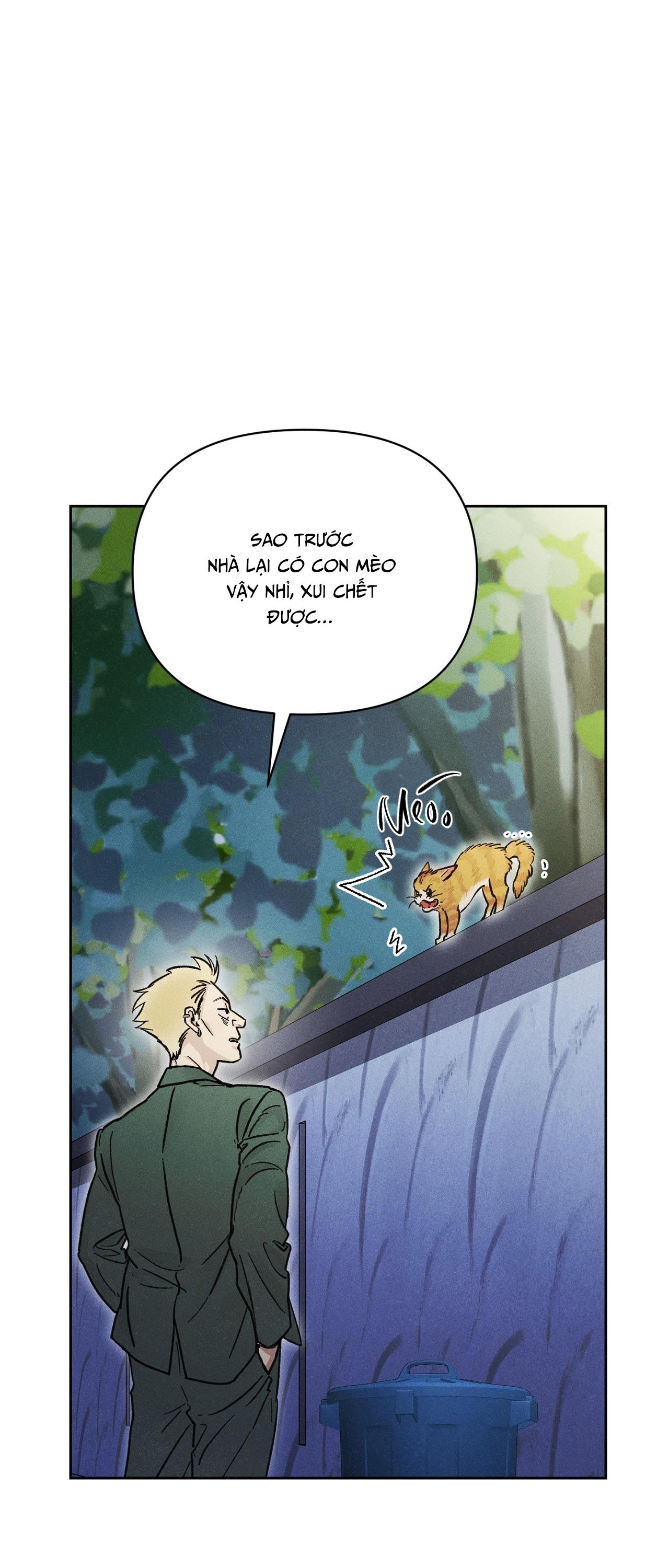 Đọc truyện TÌNH YÊU KHỞI ĐẦU TỪ NỖI SỢ - Chapter 15