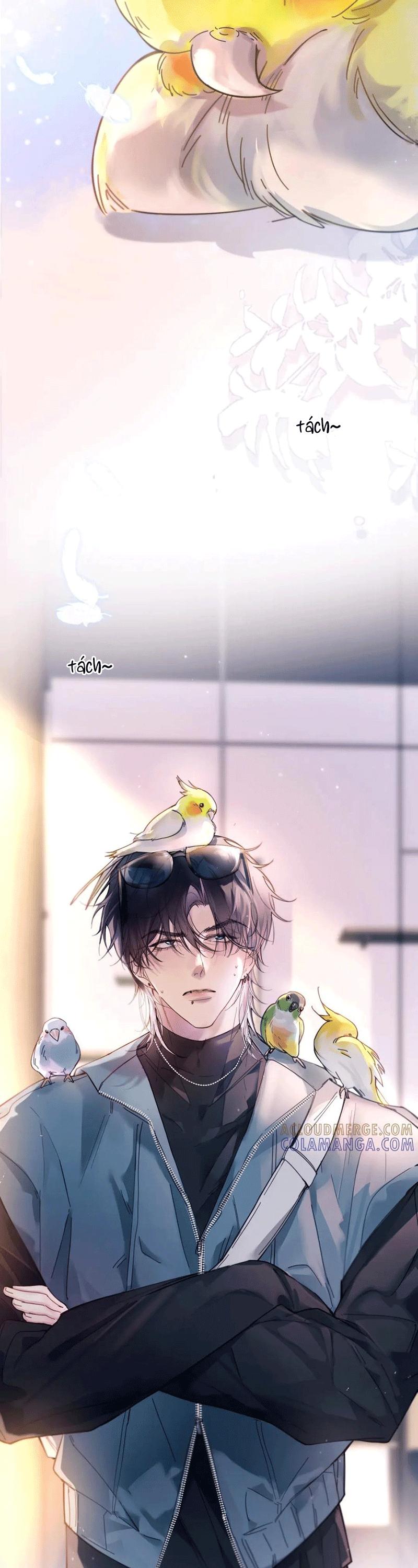 Đọc truyện Tinh Vệ - Chapter 36