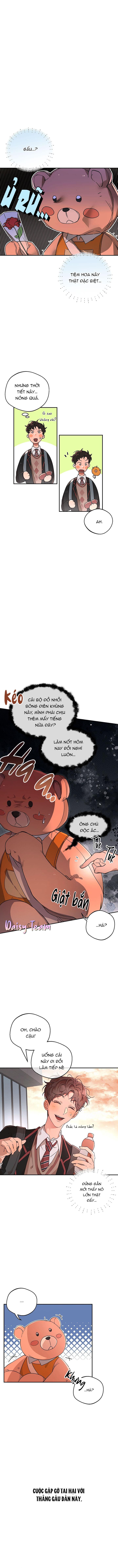 Đọc truyện (Daisy) Ánh Đèn Mờ Ảo​ - Chapter 1