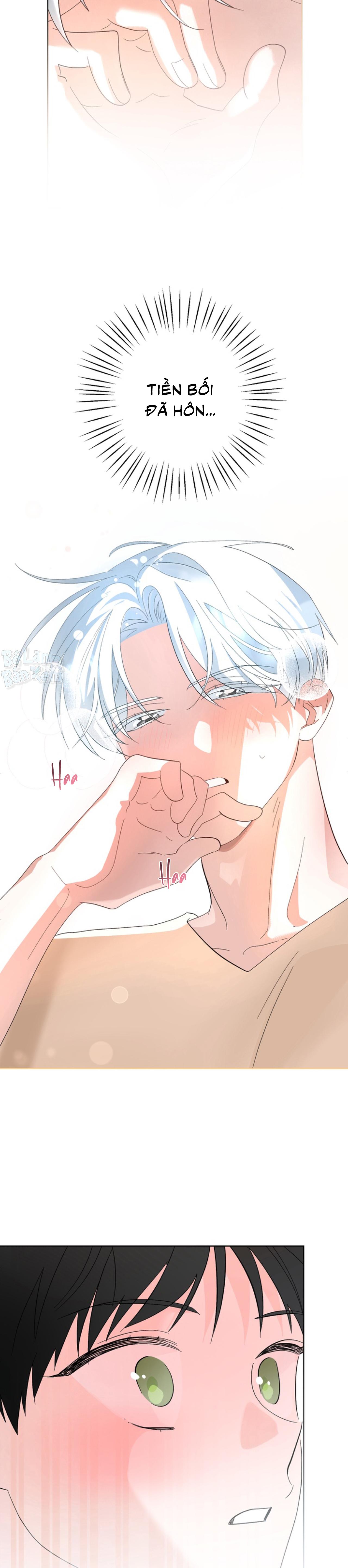 Đọc truyện XIN HÃY YÊU THƯƠNG DÙ TÔI LÀ CHUỘT - Chapter 2