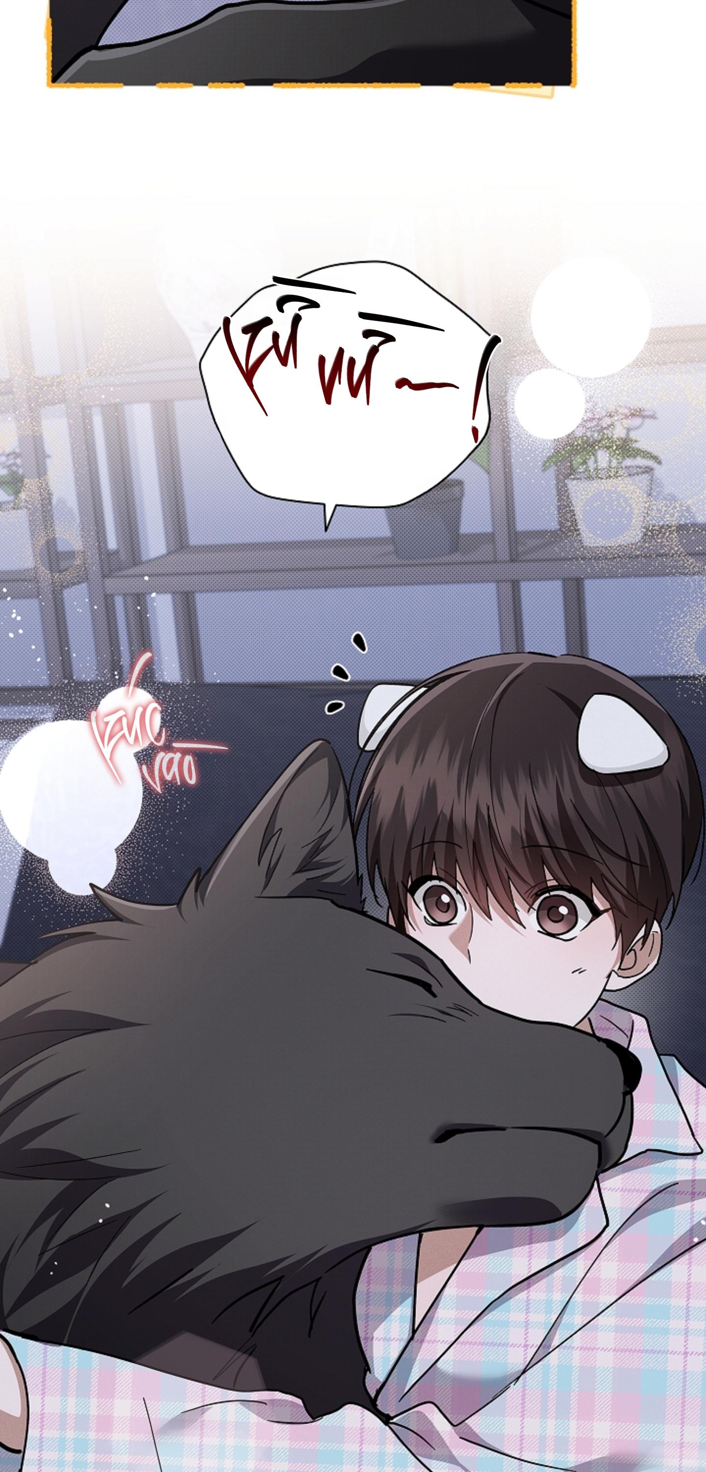 Đọc truyện ĐỪNG CHẠM VÀO CÚN CON CỦA TÔI - Chapter 51
