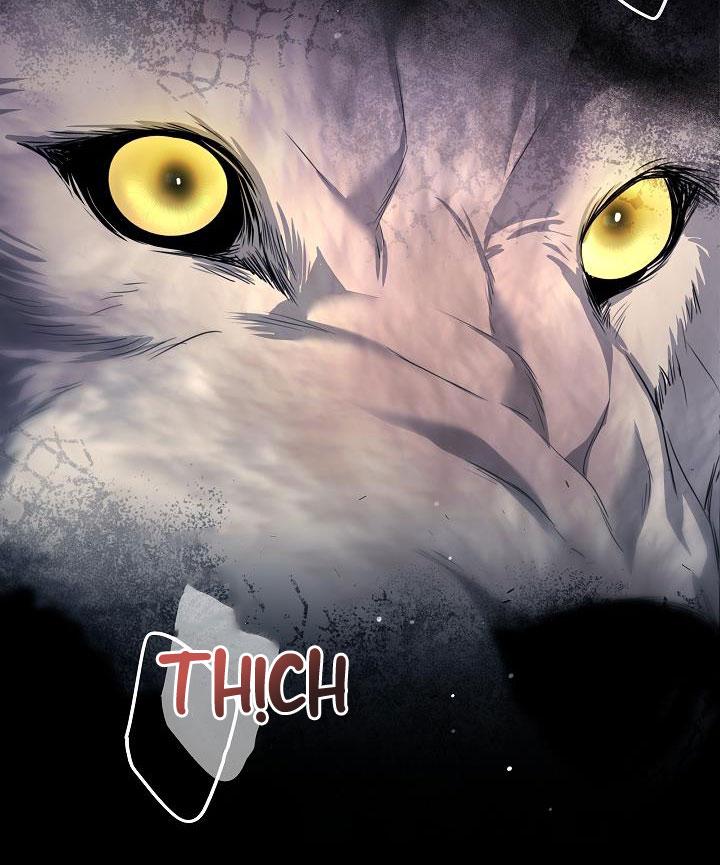 Đọc truyện HÔN TÔI NẾU CÓ THỂ - Chapter 23