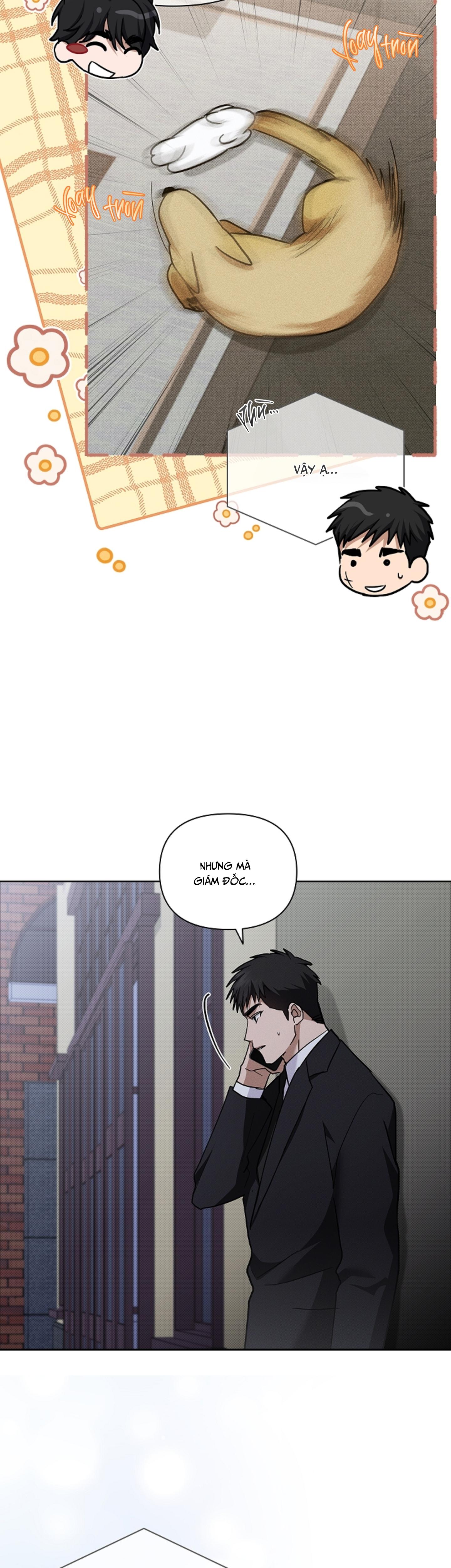 Đọc truyện ĐỪNG CHẠM VÀO CÚN CON CỦA TÔI - Chapter 49