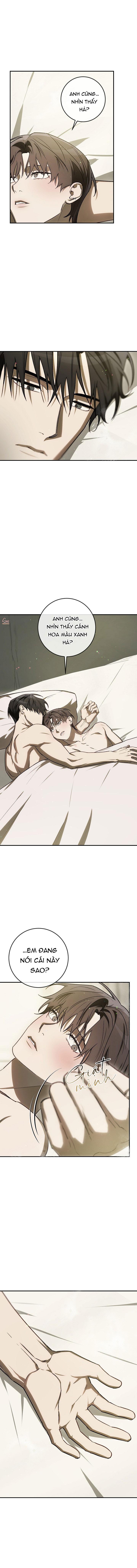 Đọc truyện BẢO VẬT - Chapter 34