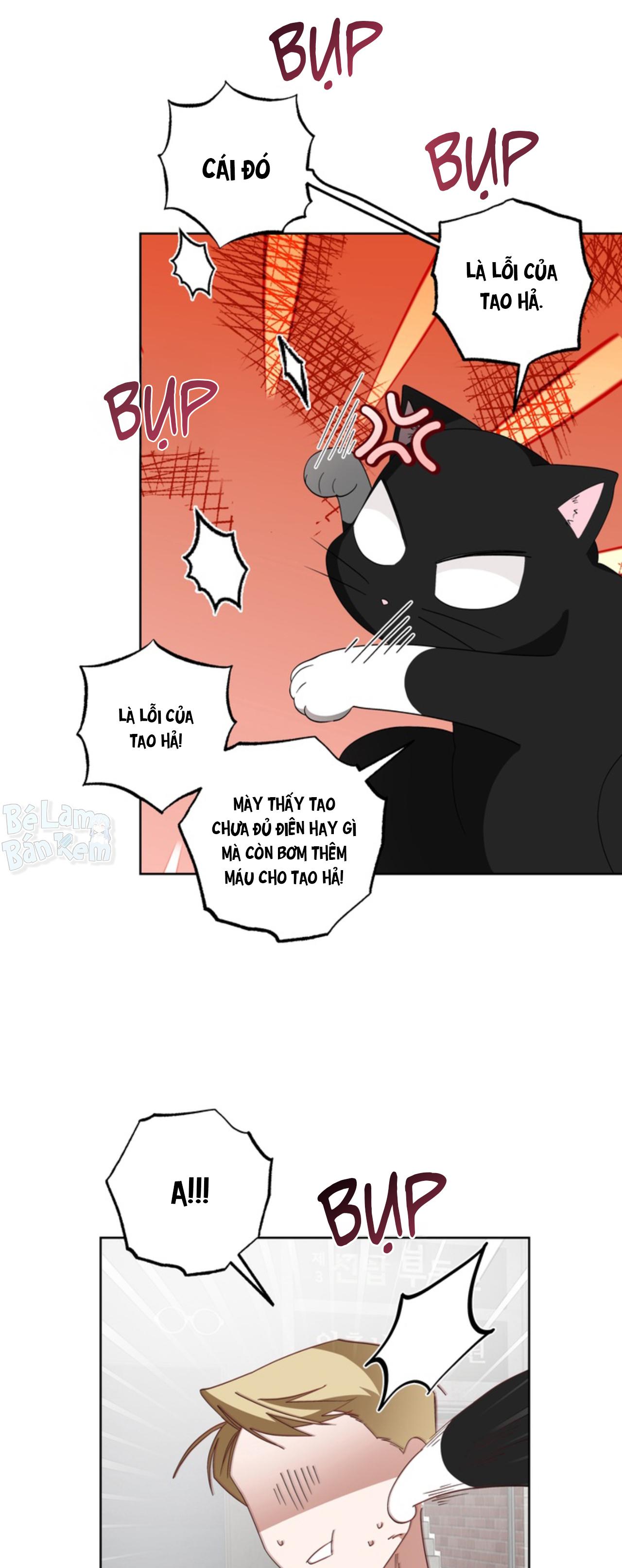 Đọc truyện XIN HÃY YÊU THƯƠNG DÙ TÔI LÀ CHUỘT - Chapter 6