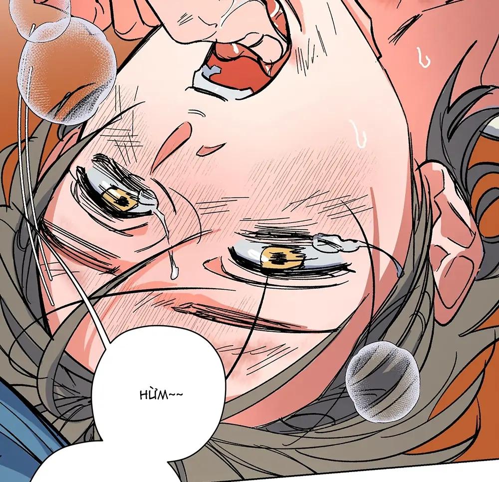 Đọc truyện Kế Hoạch Trốn Thoát - Chapter 5