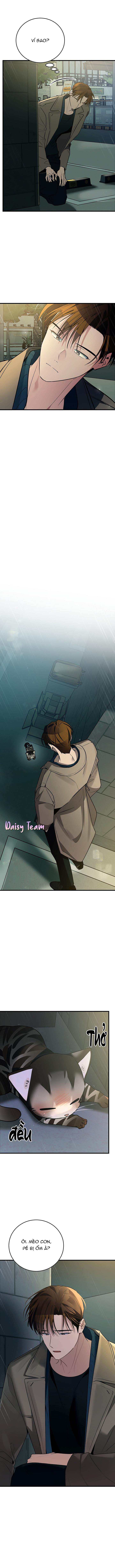 Đọc truyện (Daisy) Sinh mèo con cho tôi mau trước khi thằng này điên lên - Chapter 2