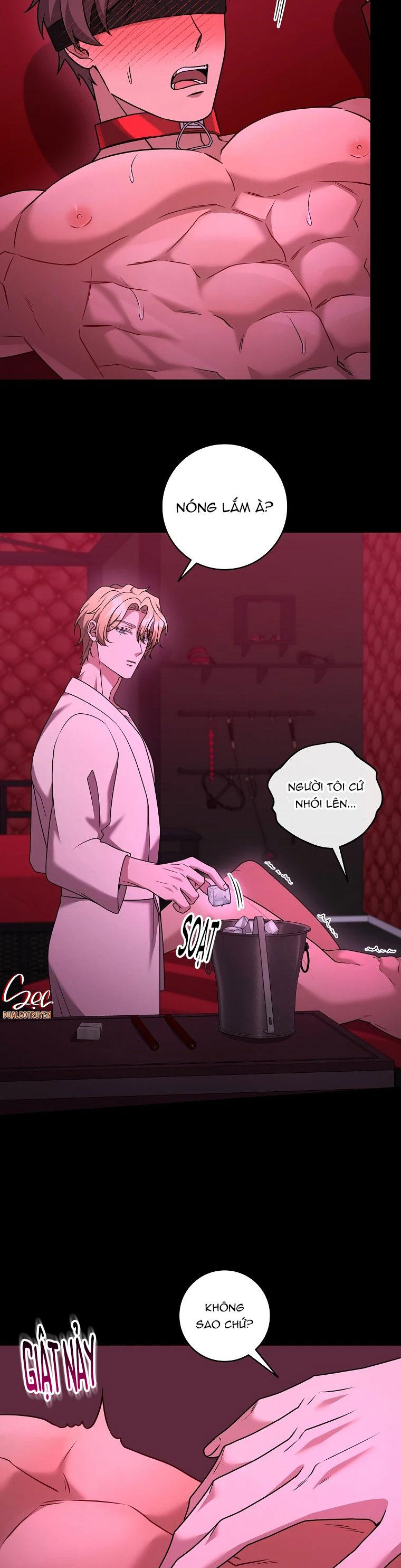 Đọc truyện THẾ CHẤP LỖ ĐÍT - Chapter 15