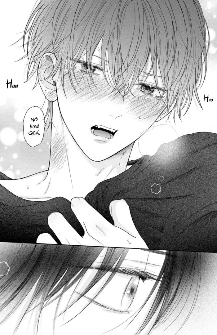 Đọc truyện Tình Yêu Không Thể Giấu - Chapter 4