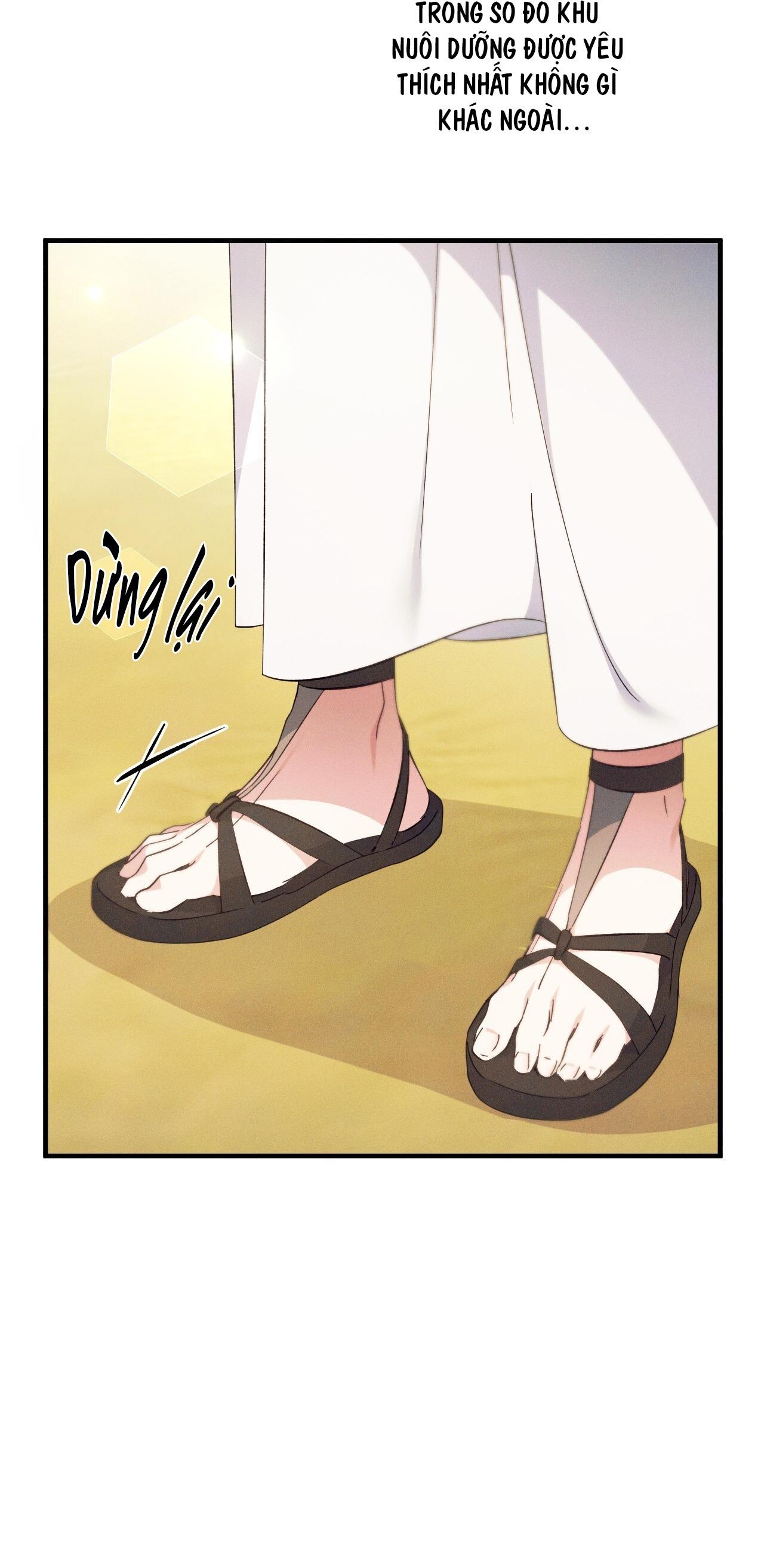 Đọc truyện RẮN NUỐT LỰU - Chapter 23
