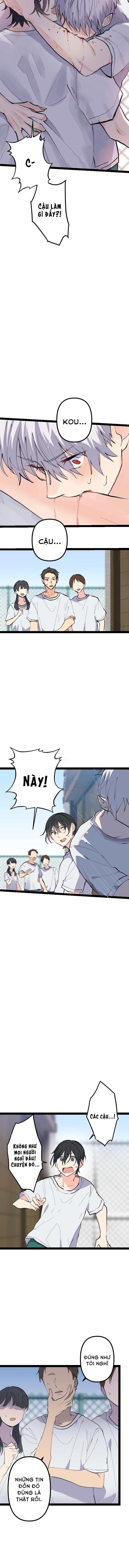 Đọc truyện Cậu Là Ma Cà Rồng Dưới Ánh Mặt Trời - Chapter 4