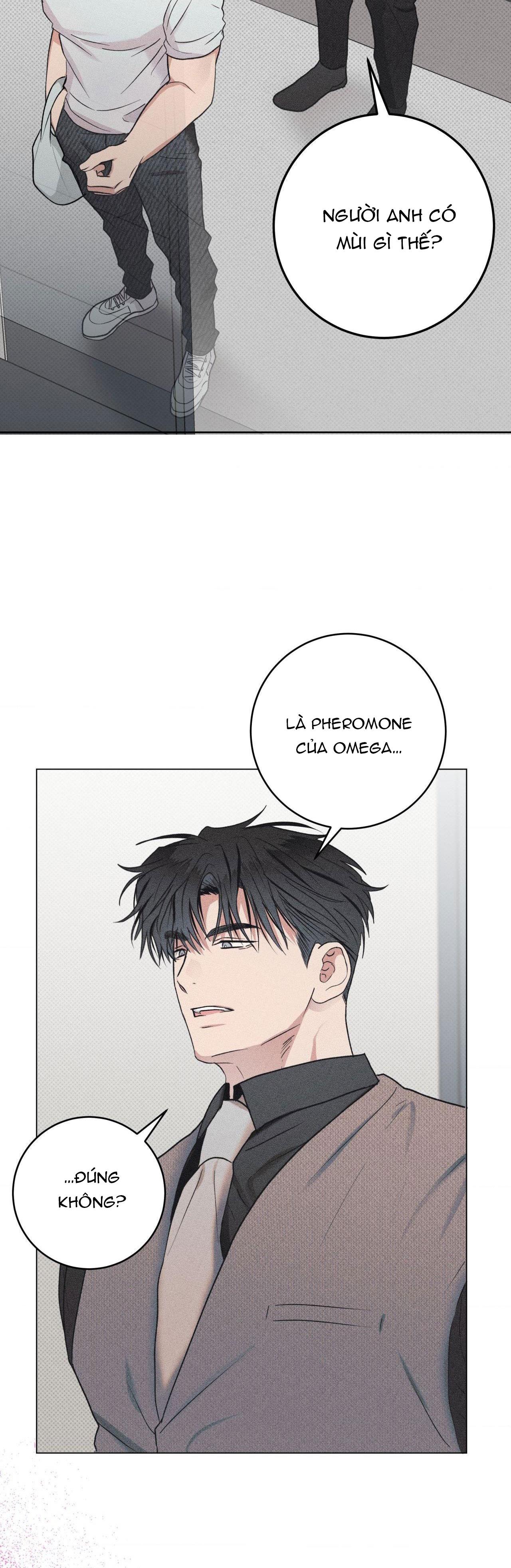 Đọc truyện Định Mệnh Sai Lầm - Chapter 7